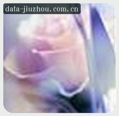 黄磊