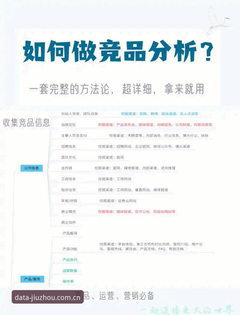 九州体育专业版下载全流程深度解析：从数据工具到竞品分析的实战指南