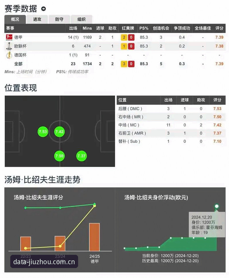 揭秘九州体育竞品分析：新手也能快速上手的深度数据工具