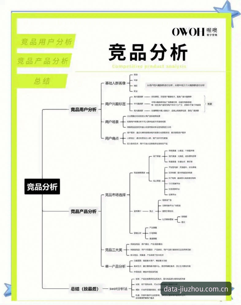 九州体育专业版下载全流程深度解析：从数据工具到竞品分析的实战指南